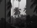 Barish || বৃষ্টি || Short || Rain || একটু গরমের তাপদাহ থেকে মুক্তি ||