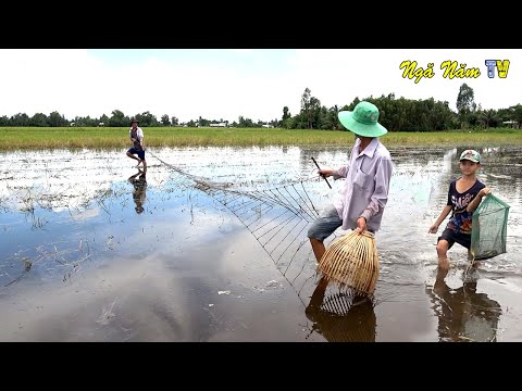 Video: Cách Bắt Cá Săn Mồi