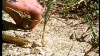 Biobits 86 Oriëntatie