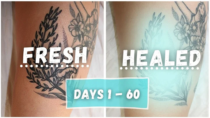 Fresh vs Healed Tattoo | Day to Day Healing Process