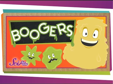 What are Boogers?