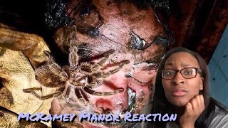 THE HORRORS OF McKAMEY MANOR | REACTION