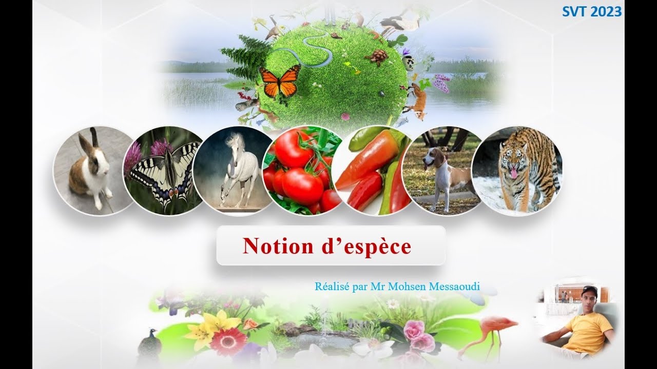 Notion D Espece Svt 6eme www.youtube.com