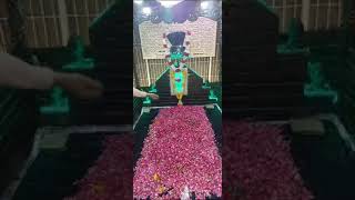 ماہانہ فاتحہ حضرت خواجہ صوفی مسعود احمد رہبر چشتی رحمتہ اللّہ علیہ گل پاشی ۲۰ ذیقعد 29 مئی 2024