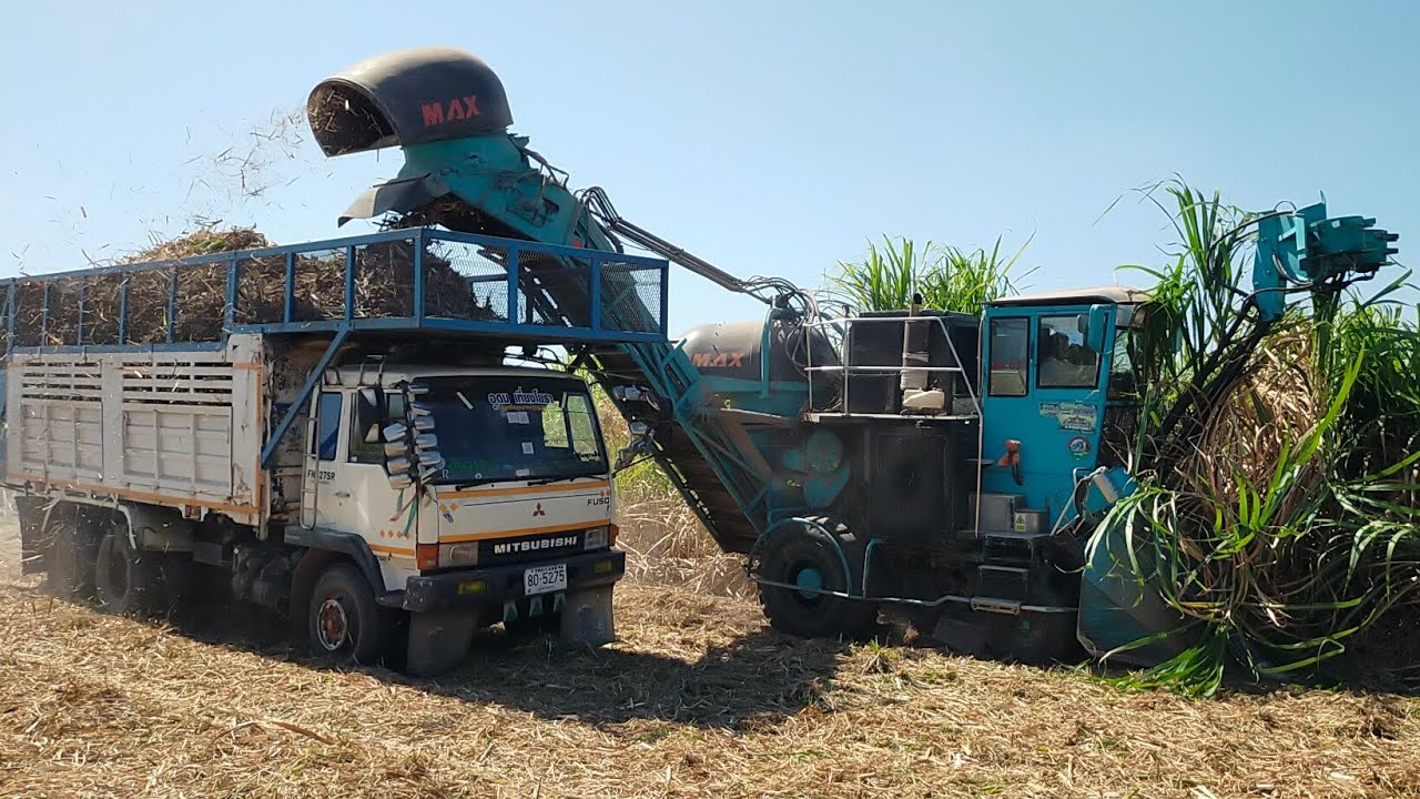 รถตัดอ้อยแปดล้าน!!ทีมงานไร่ทรัพย์ประเสริฐ จัดไปตัดอ้อยมันส์!!มันส์!!