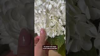 Chic &amp; Easy Amazon Zero Maintenance Home Decor!