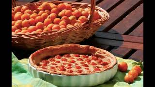 A Journey Through the Seasons