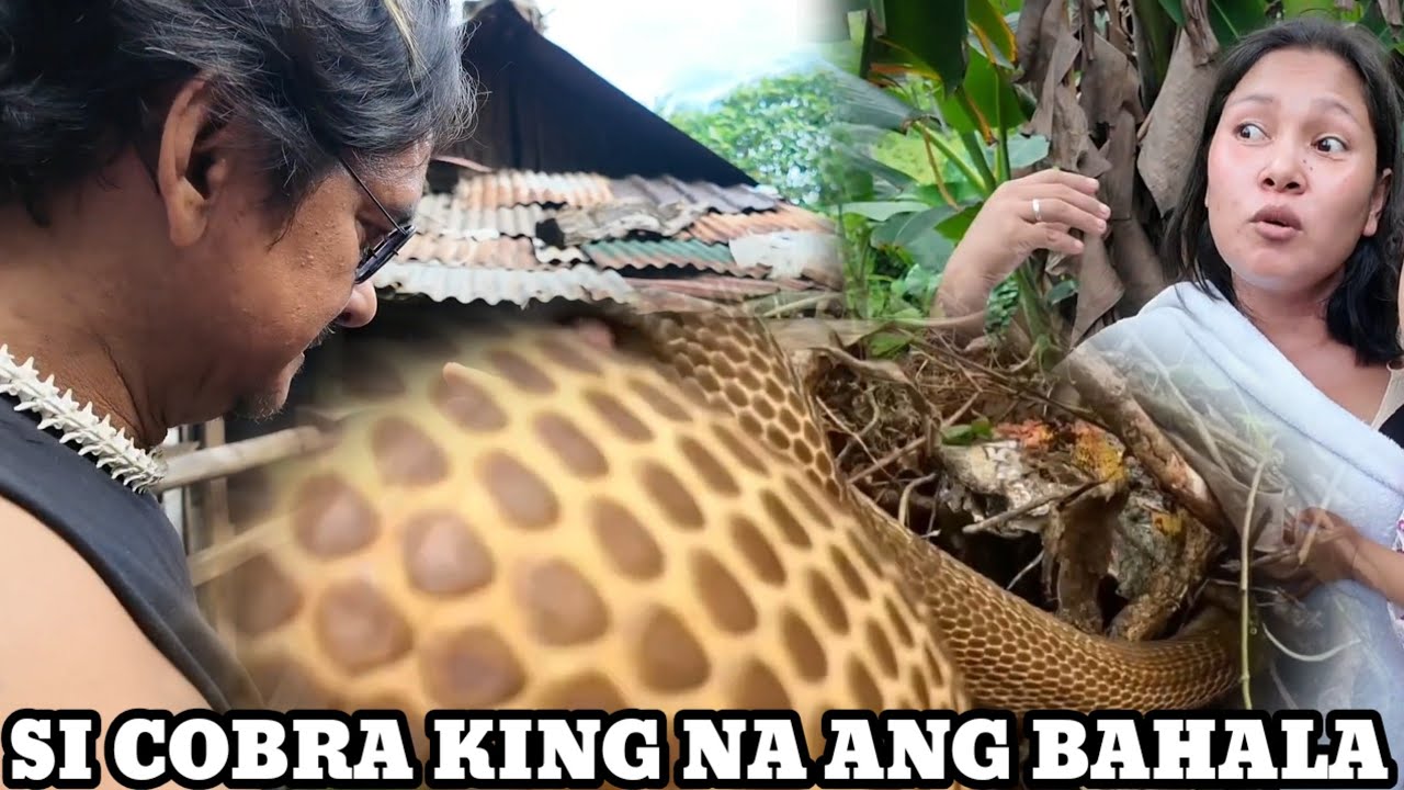 KAKILAKILABOT ANG NATUNGHAYAN NA LABAN..