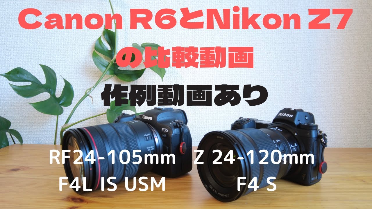 CANON R6 RF24-105mm F4L IS USM NIKON Z7 Z24-120mm F4 S 比較