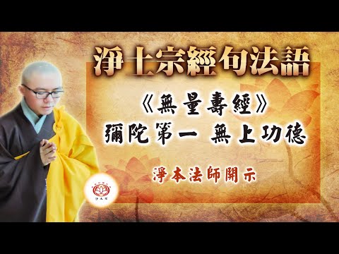【经句浅解】弥陀第一 无上功德《无量寿经》 | 净本法师 主讲