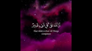 أنس العمادي..سورة الطلاق.. سبحان الله وبحمده..سبحان الله العظيم…🌸🌿