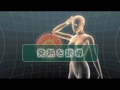 ANK療法でがんと闘う（ダイジェスト版 2/2）