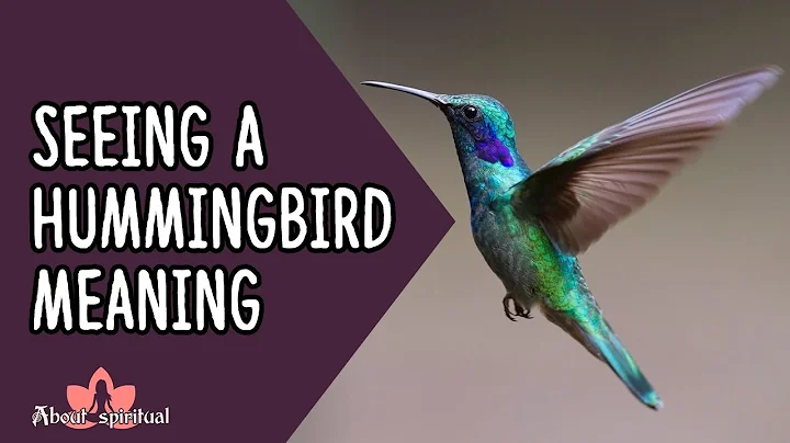 Unlocking the Enchanting Meaning of Seeing a Hummingbird