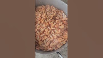 Luộc tôm đất phơi khô cho khách0917800897 #conga #bichnga#tomkho#tomdatkho#tomkhocamau