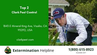 Top 3 Exterminators in Tulare