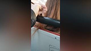 Longhair Touch In Bus Compilation