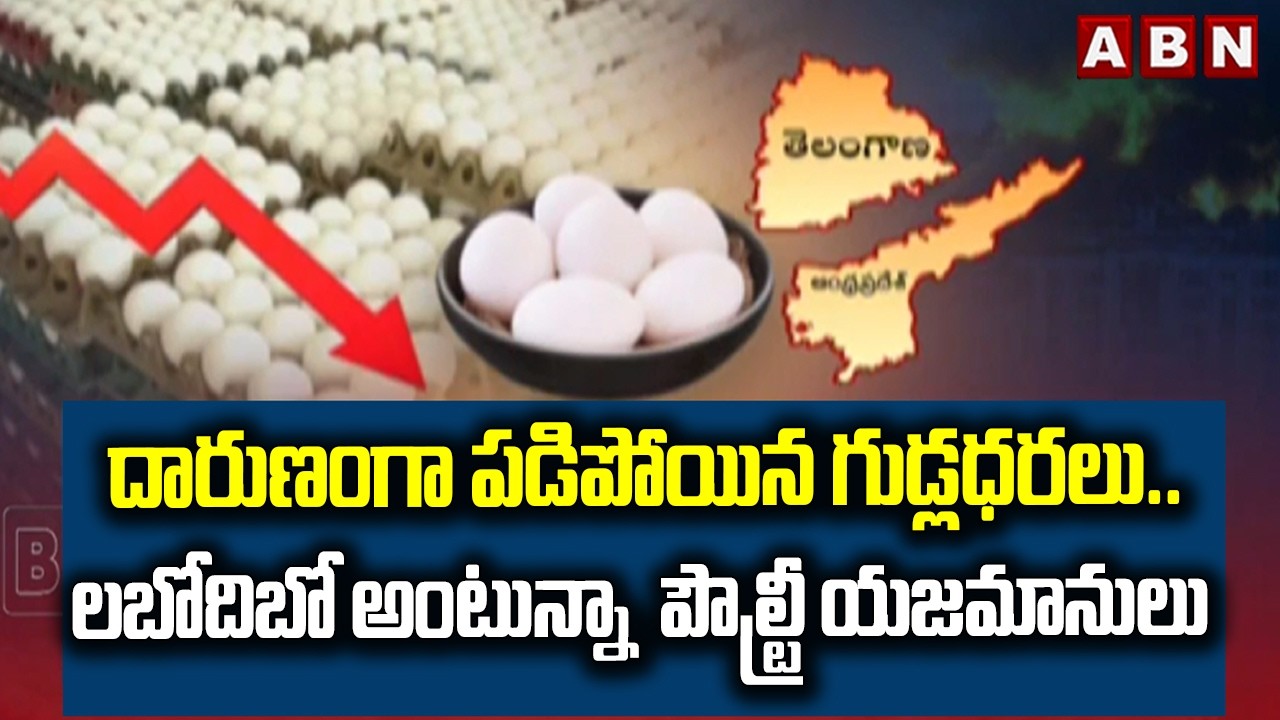 దారుణంగా పడిపోయిన గుడ్లధరలు.. | Eggs Prices Fall Down | Today Egg Rate | ABN Telugu