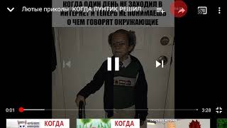 Я сегодня посмотрю приколы про котов с канала Domi Show