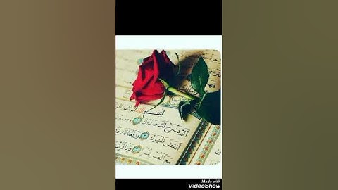#حالات واتس آب#❤️#سورة الشرح الشيخ مشاري بن راشد العفاسي🎧🎧🎧❤️💖💖