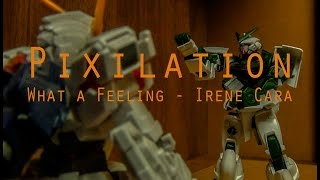 Pixilation Video