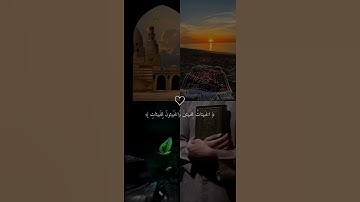اكتب شئ تؤجر عليه 🤍 #قرآن_كريم #ماهر_المعيقلي #تلاوات_خاشعة #أرح_سمعك_وقلبك #اكسبلور