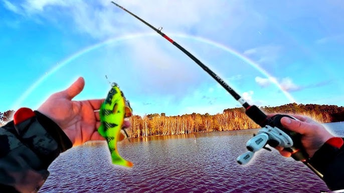 Ces abonnés me montrent leur meilleur spot de pêche au brochet !(ouverture  carnassier 2023+concours) 