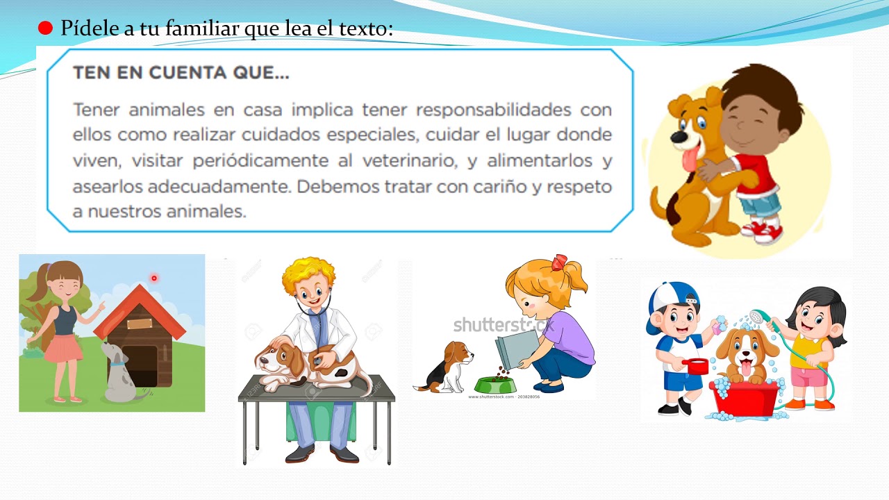 Sesion Martes 9 De Junio Cuidado De Los Animales Video Youtube