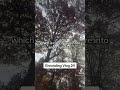 Grounding Vlog 24