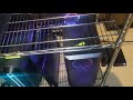 Chia Farm Update (Week #8)