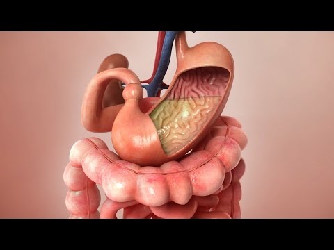 Aspirin Journey through the body - 3D Animation