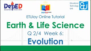 Evolution || Earth & Life Science || SHS Quarter 4 Week 6