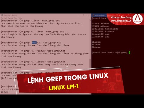 Video: Việc sử dụng grep trong Linux là gì?