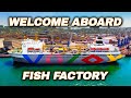 Life inside a massive fish factory on the water