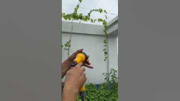 Bộ Vòi Tưới Cây Treo Tường Vòi Phun 9 Chức Năng Blatter