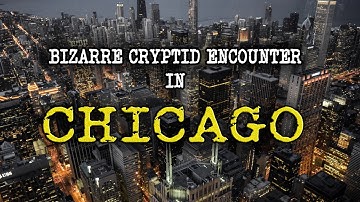 Extremely STRANGE and WEIRD Cryptid Encounter near CHICAGO