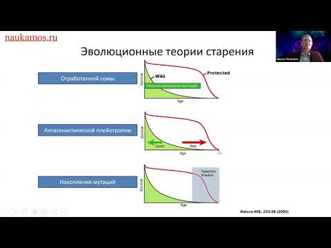 'Генетика старения и