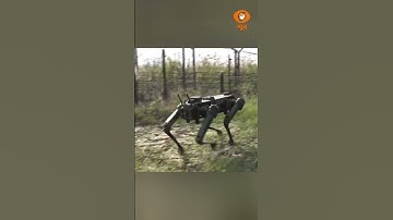 Robotic Mule: Army