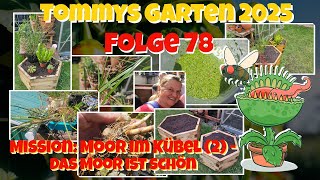 Tommys Garten 2025 - Folge 78 - Mission: Moor im Kübel (2) - Das Moor ist schön