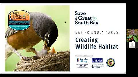 Bay Friendly Yards Creating Wildlife Habitat
