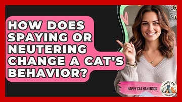 How Does Spaying Or Neutering Change A Cat