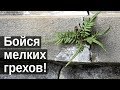 #Грех и #добродетель. Всё великое начинается с малого