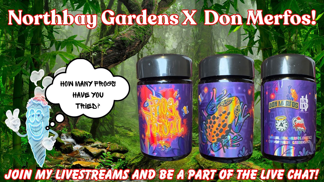 FROG POISON BY NORTHBAY GARDENS X DON MERFOS!!