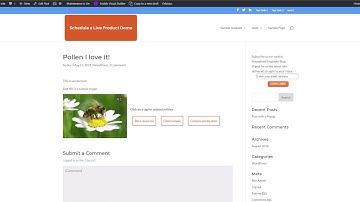Resize Images in WordPress that are Already Uploaded to a Post or Page
