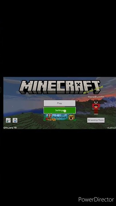 how-to-turn-off-player-names-in-minecraft-shorts-youtube