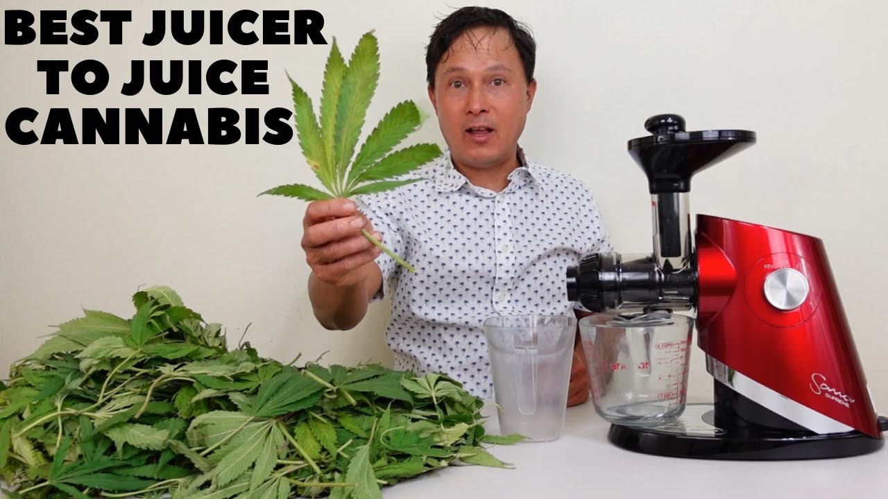 Best Juicer to Juice Fresh Cannabis & Hemp Leaves for Health