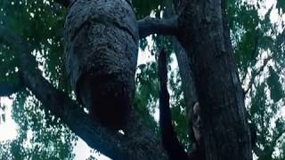 Клип на фильм голодные игры Клип на фильм голодные игры