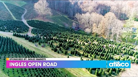 Ingles Open Road: Boyd Mountain Christmas Tree Farm