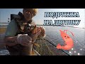 С ЖЕНОЙ НА РЫБАЛКЕ/ РЫБАЛКА В НИЖНЕВАРТОВСКЕ/ Fishing in Russia