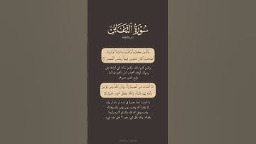 تدبر القرآن | سورة التغابن من 10 الى 13 | ياسر الدوسري