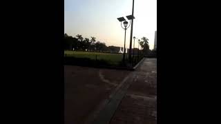 Luneta Park Joy Train shorts